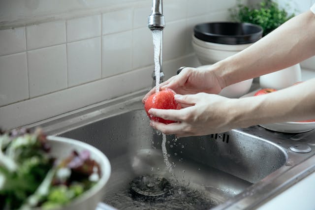 Fruit Washer