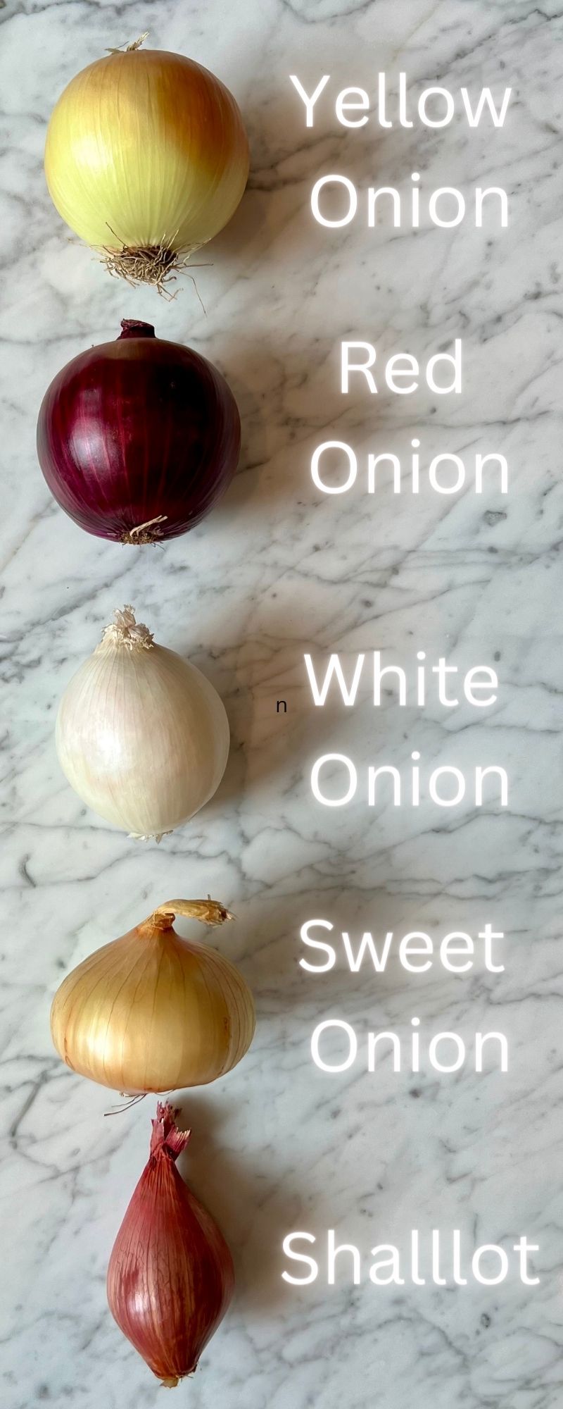 Onion types: Yellow Onion, red onion, white onion, sweet onion, shallot